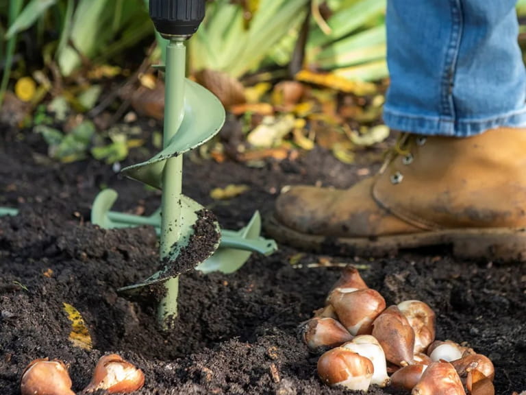 A bulb planting tool creating holes in the soil for bulbs