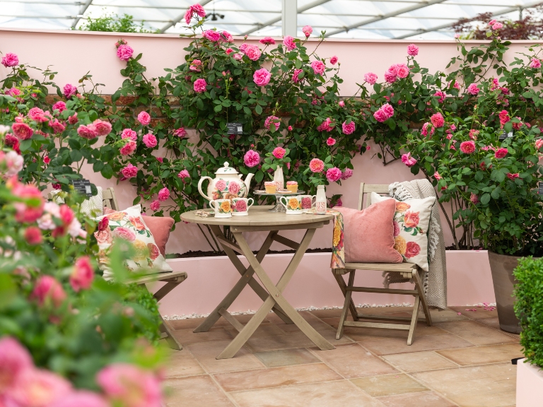 The David Austen Roses stand at the Chelsea Flower Show in 2024