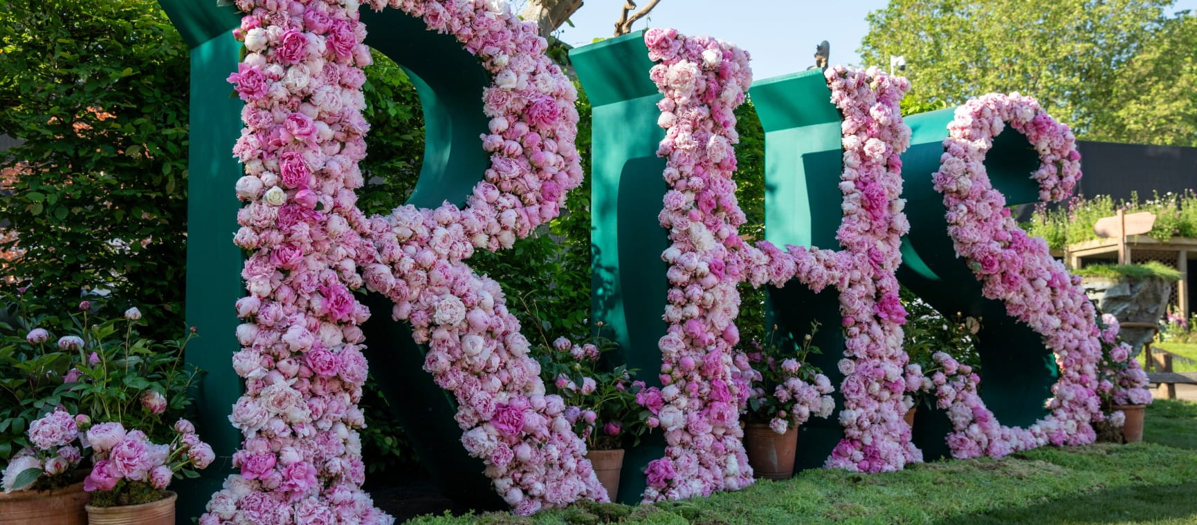 Pink flowers covering the RHS letters at the Chelsea Flower Show