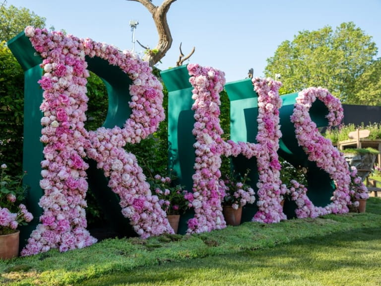 Pink flowers covering the RHS letters at the Chelsea Flower Show
