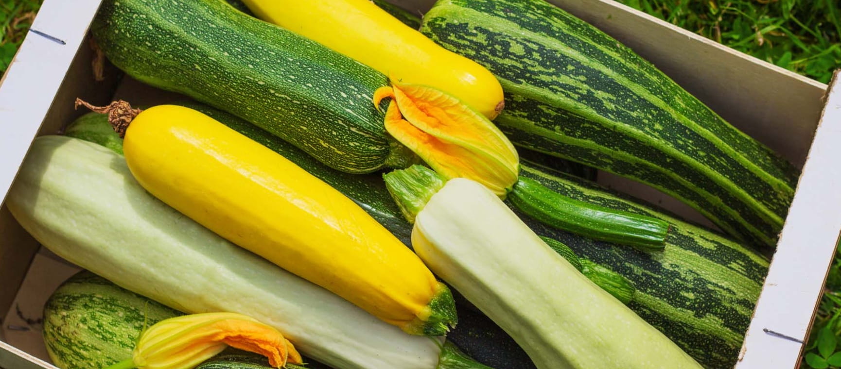 A box of homegrown courgettes