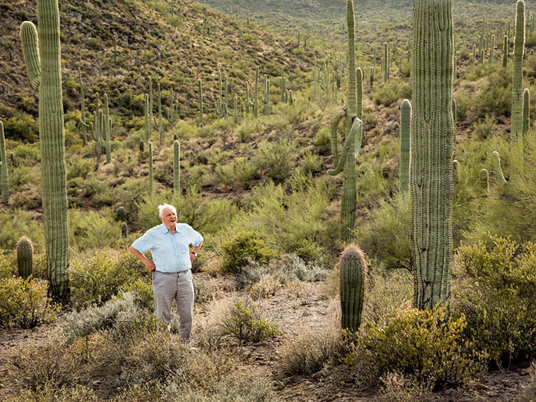 Sir David Attenborough standing among tall cacti
