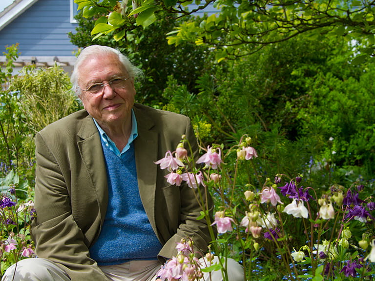 Sir David Attenborough sitting in a garden beside some flowers