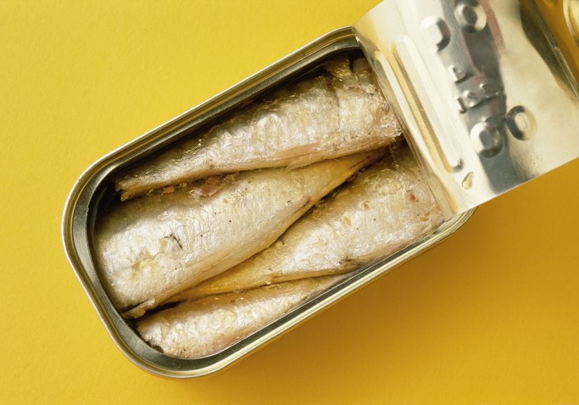 Sardines in a half opened tin against a yellow background