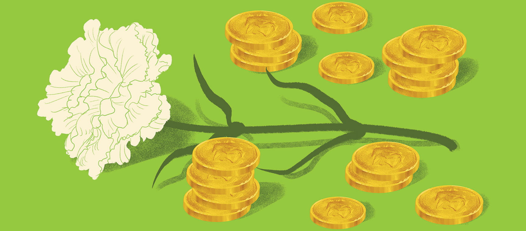 An illustration of a white flower amongst gold coins, on a green background