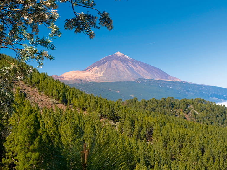 Mount Teide in Tenerife
