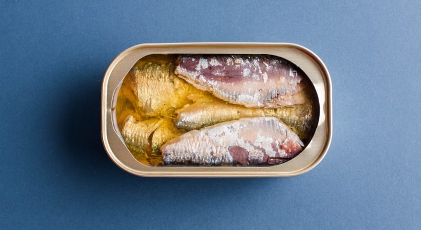 An open tin of sardines against a blue background