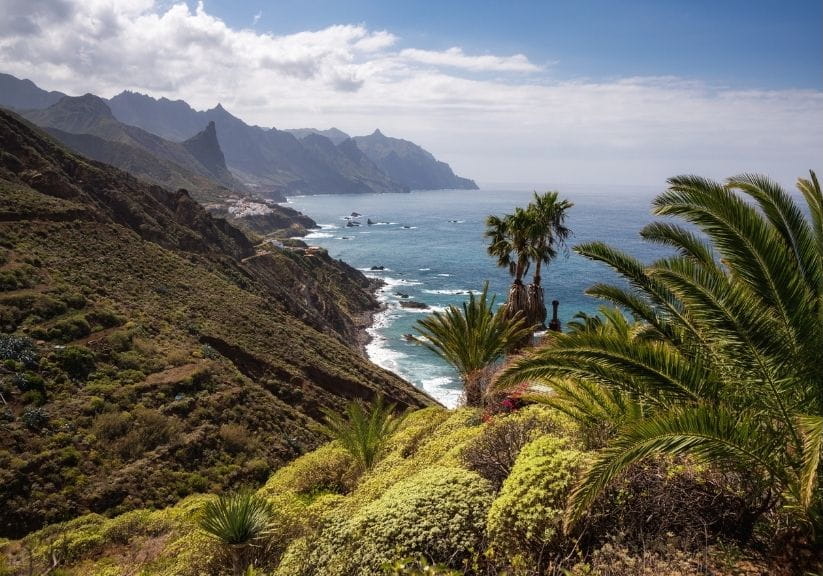 The rugged north coast of Tenerife with hills and palm trees