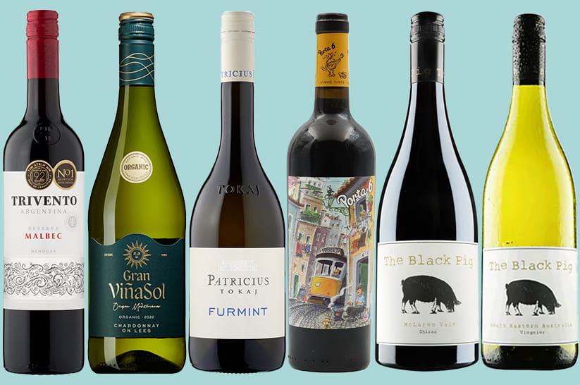 The mentioned wines in a row