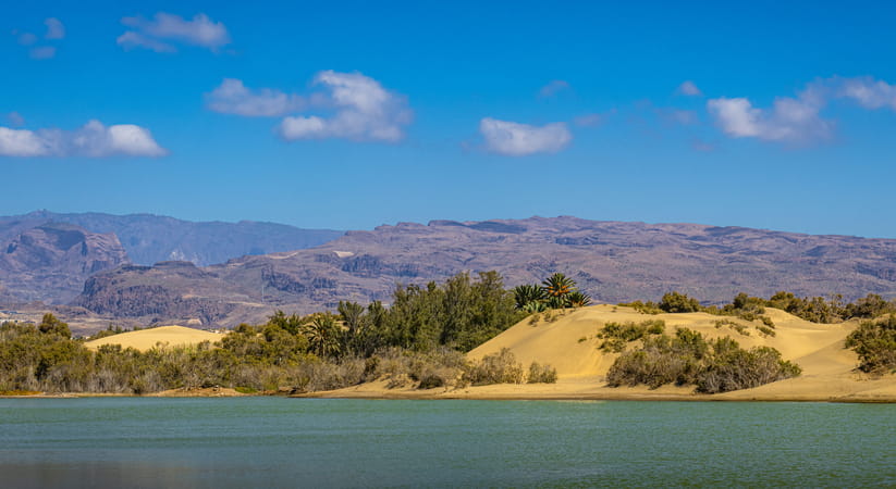 View of the Maspalomas sand dunes in Gran Canaria from the sea