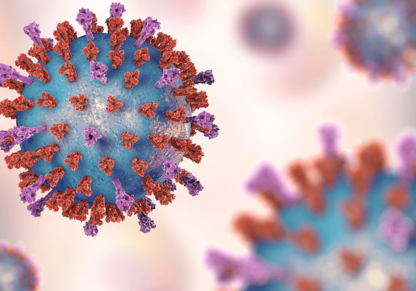 A computer illustration of Respiratory syncytial virus (RSV) particles.