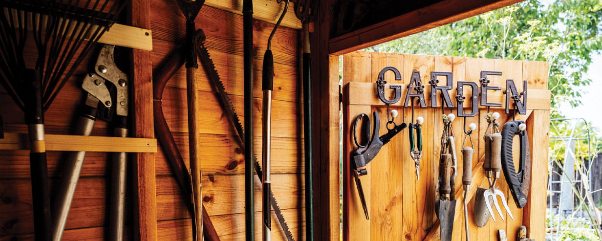 Inside view with open door of organised shed filled with rake, shovels, trimmer, saw, and other hand tools required for maintenance of well tended garden.