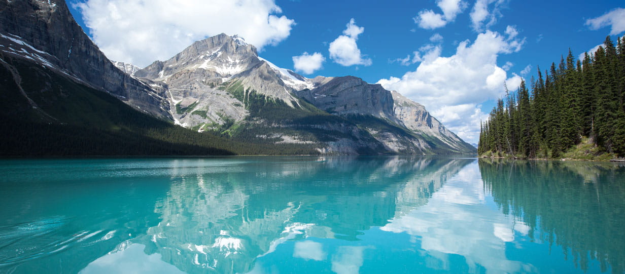 Maligne Lake with snowy mountains on the left and pine forest down to the water's edge on the right.