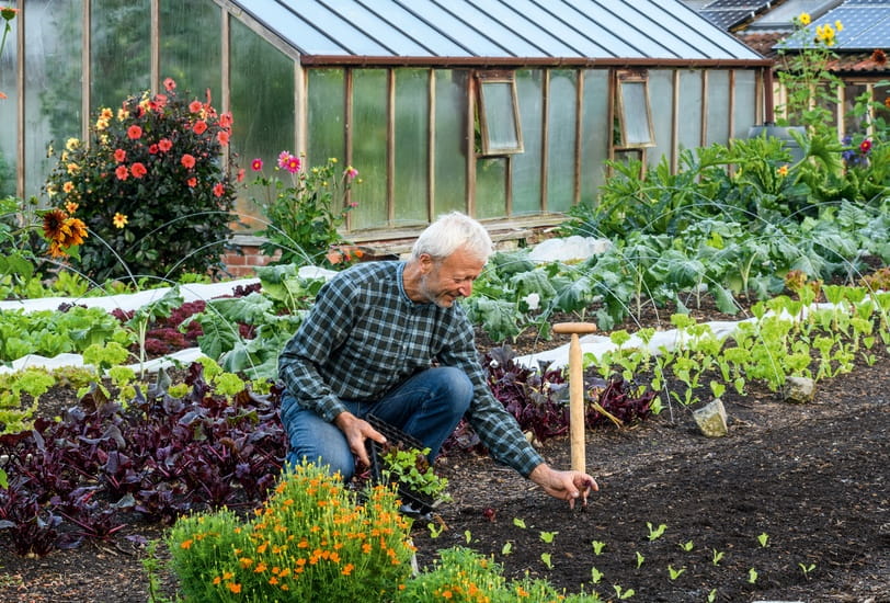 Charles Dowding knelt down in his garden in a blue green checked shirt