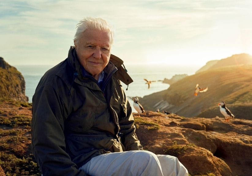 David Attenborough looks to the camera with a backdrop of hills, sea and puffins behind him