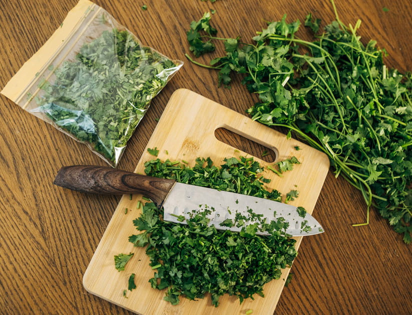 chopped greens cilantro coriander before freezing