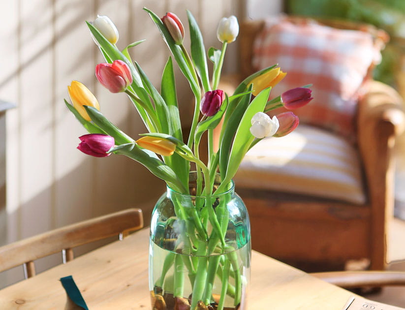 A green-tinged glass vase filled with tulips in a variety of colours on a wooden table