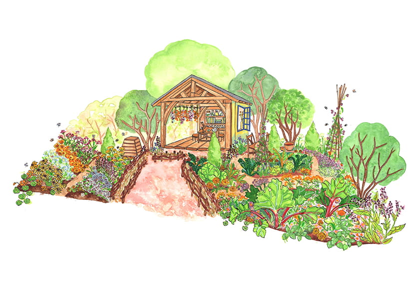 An illustration of The Kings Foundation Curious Garden