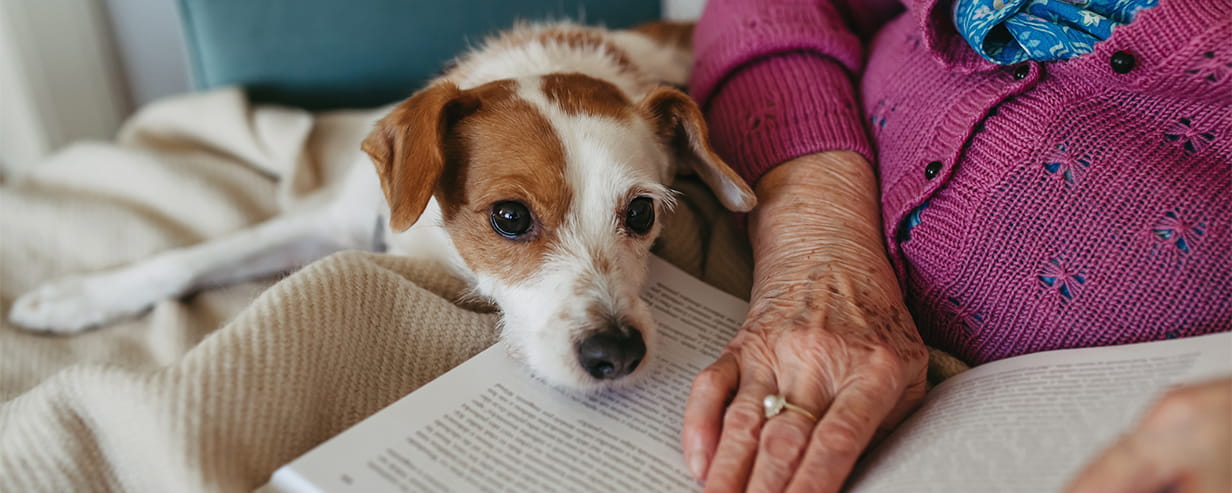 Elderly woman reading book, sitting in armchair, dog lying by her.