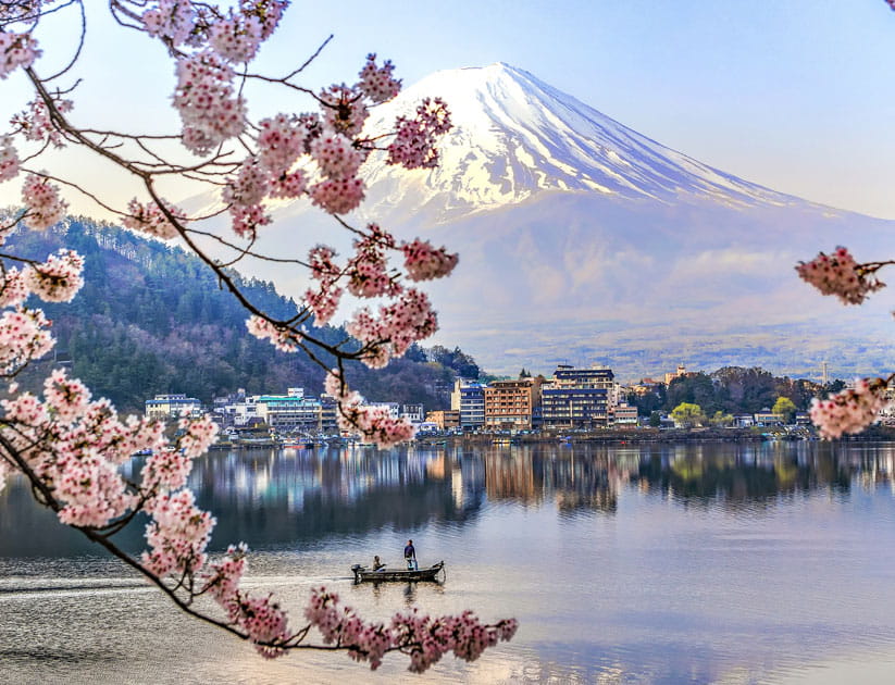 Fisherman sailing boat in Kawaguchiko Lake and Sakura blossoms with Fuji Mountain in the background