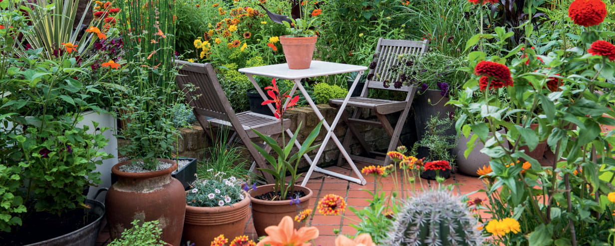 Two wooden chairs and a table outside surrounded by plants in containers
