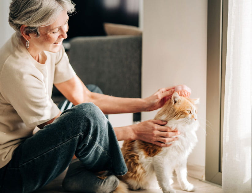 A mature woman gently brushes a fluffy ginger and white cat with a small pink brush