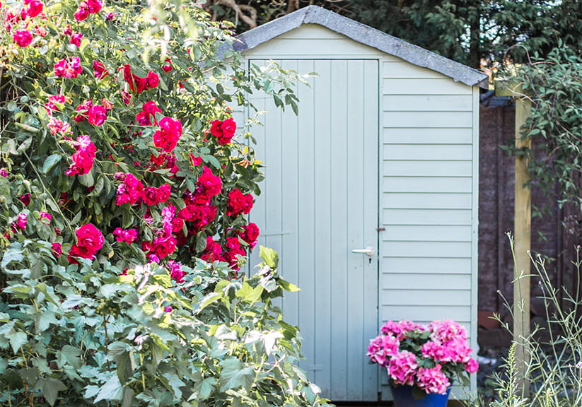 Garden shed surrounded by flowers in summer