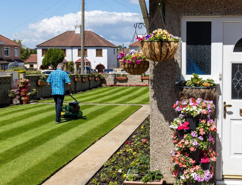 A man mows stripes in his lawn