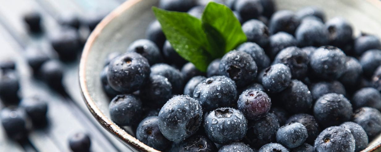 A bowl of blueberries 