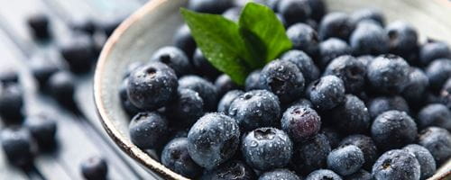 A bowl of blueberries 