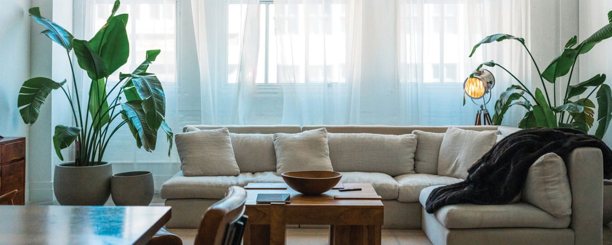 A cool looking living room with a corner sofa and houseplants