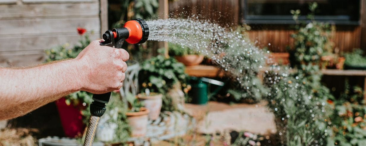 Person using a hose to water their garden