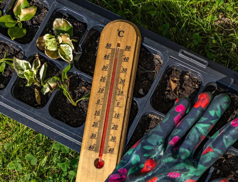 Thermometer with a high reading next to a garden glove