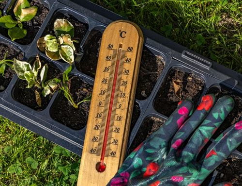 Thermometer with a high reading next to a garden glove