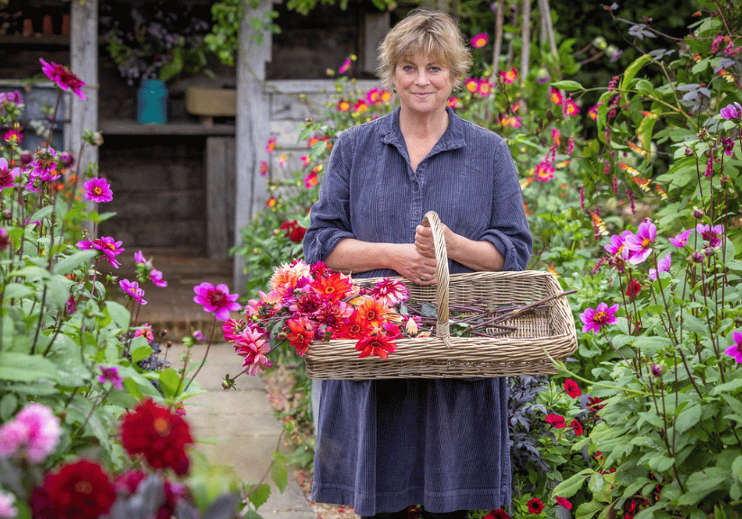Sarah Raven carrying a basket of dahlias surrounded by flowers