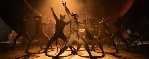 The cast of Cats the musical performing