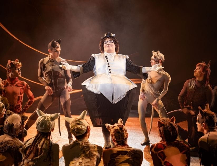 The cast of Cats the musical performs