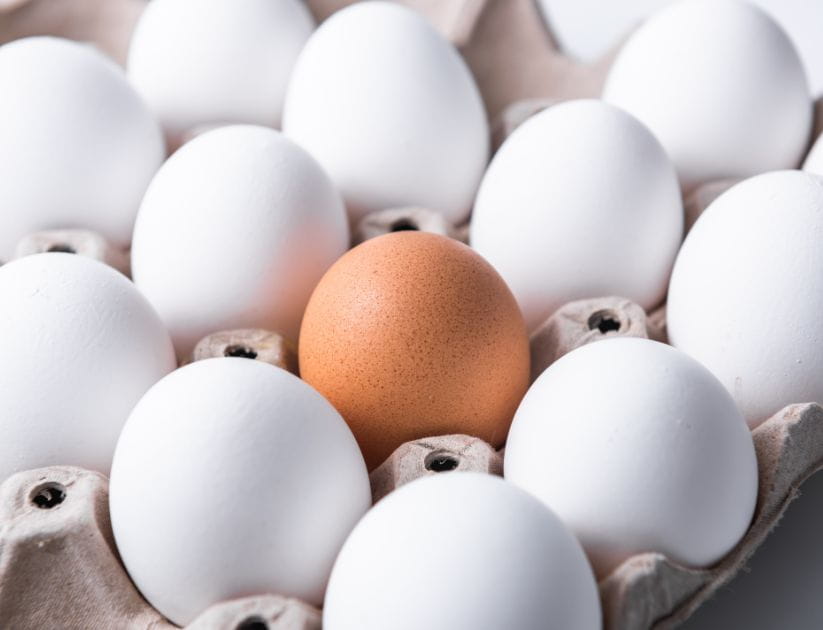 Box of white eggs apart from a brown egg in the middle