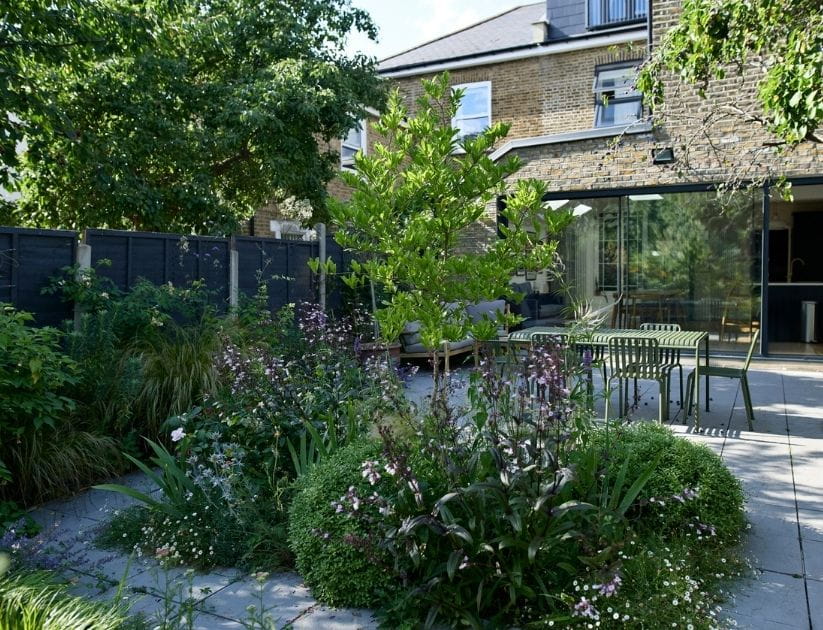 Decorative plants and bushes in back yard of modern townhouse