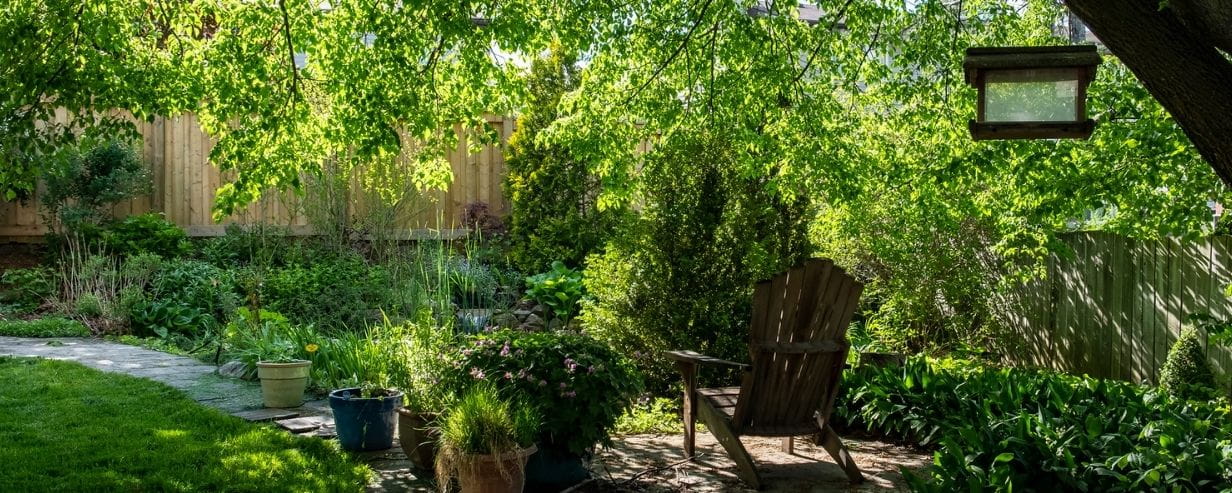 A backyard oasis with plants, trees and a pond
