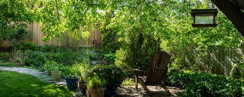 A backyard oasis with plants, trees and a pond