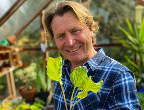 TV gardener David Domoney  holds up a plant in a greenhouse