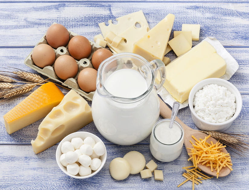 Top view of dairy products shot on blue striped table: milk, various cheeses, yogurt, cottage cheese, butter and eggs