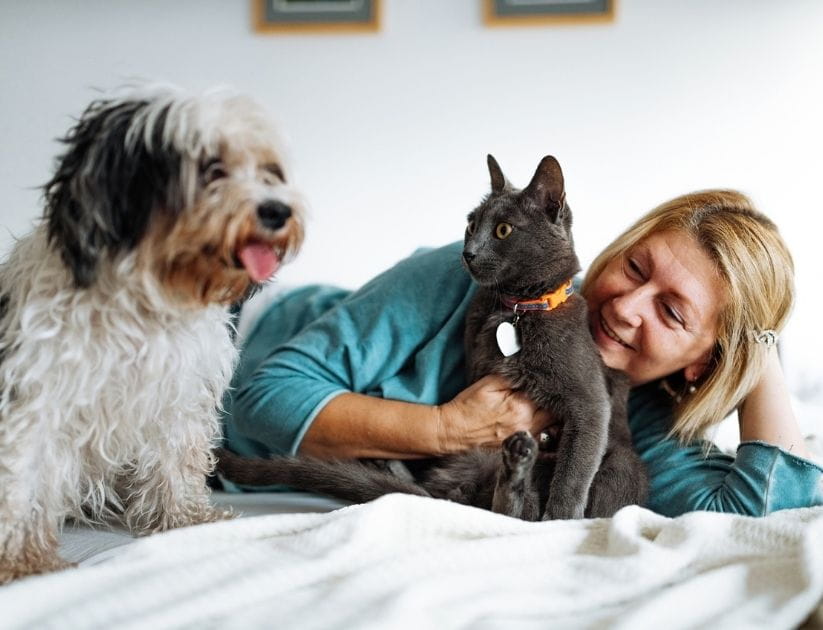 Mature woman smiling with cat and dog at home on bed