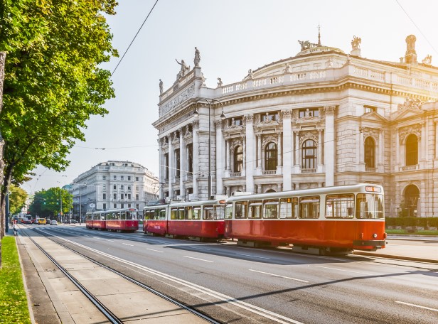 Vienna Ringstrasse | Shutterstock/bluejayphoto