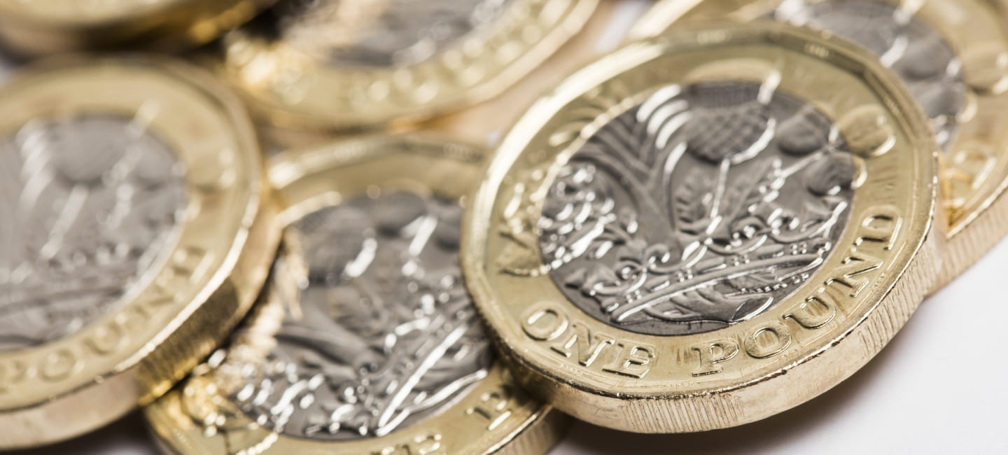 Pound coins 