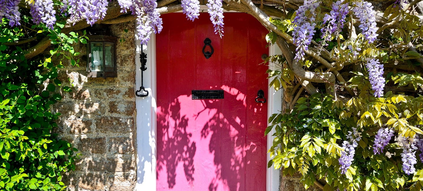 A pink front door surrounded by wisteria